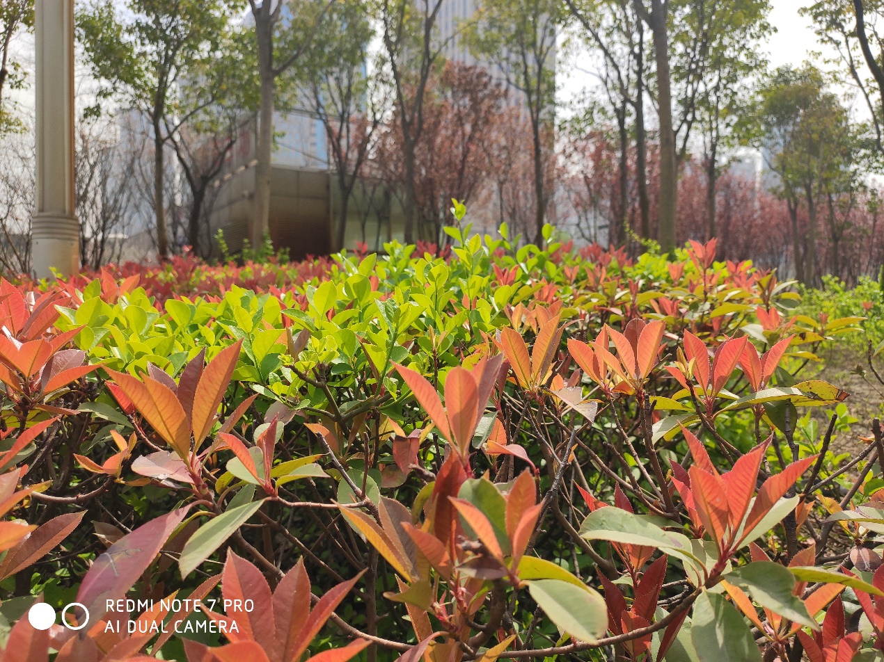 红米note7pro测评,红米note7pro值不值得买