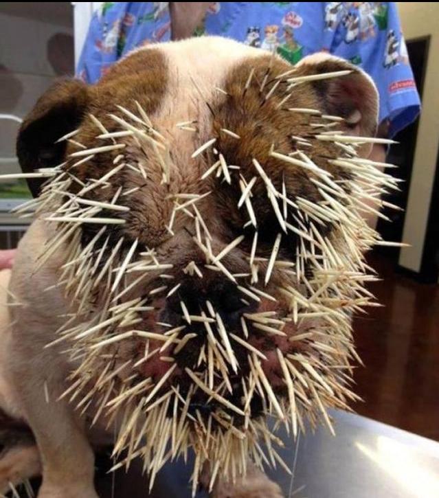 最倒霉的100个瞬间视频,35个最倒霉的瞬间