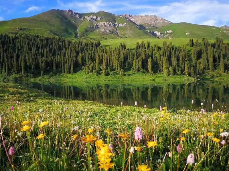 伊犁最美的50处绝色美景,伊犁最美的小众景点