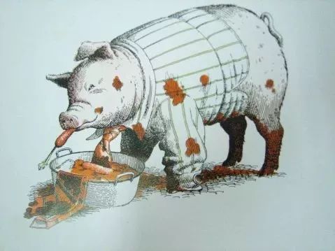 动物绝对不能穿衣服的绘本感言,比较好看的动物绘本推荐