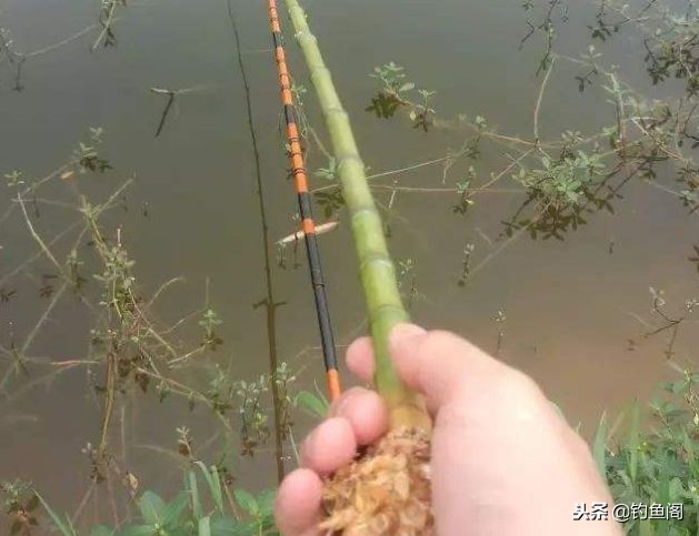 鱼竿价格为什么差别那么大,为什么有那么多品牌鱼竿那么便宜