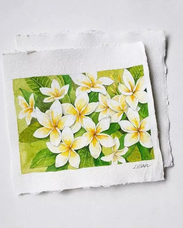 水彩线稿太脏太乱擦不干净怎么办,画水彩的正确方法和技巧