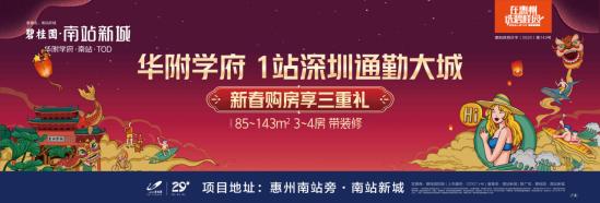 惠州市仲恺新区怎么样,仲恺北站新城