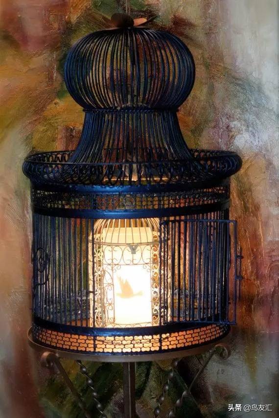 鸟窝为何这么干净,鸟窝怎样可以让鸟很喜欢