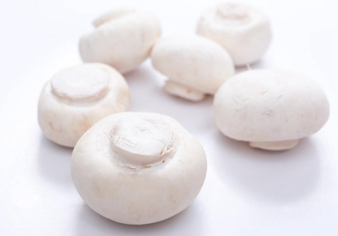 双孢菇容易感染杂菌吗,双孢菇病害有哪些