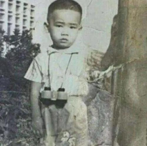 已离世的44位港台明星,往年生活很凄凉的十位香港明星