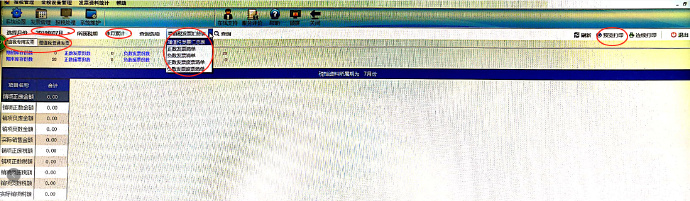 金税盘最新版电子发票明细,金税系统下载发票明细记录