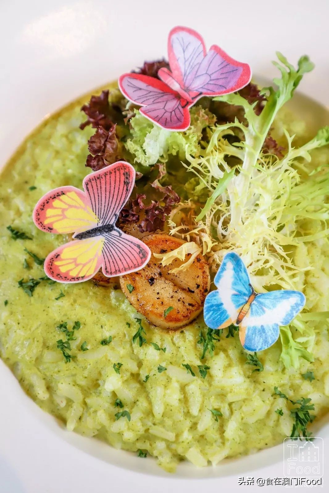 澳门探店｜新马路有一家人气斜坡西餐厅！菠萝BB猪必吃