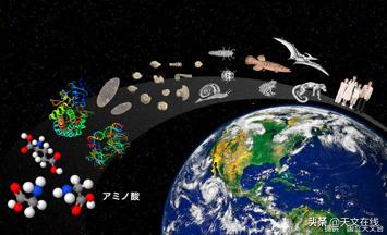 在浩瀚宇宙中，生命的存在，需要什么样的条件？