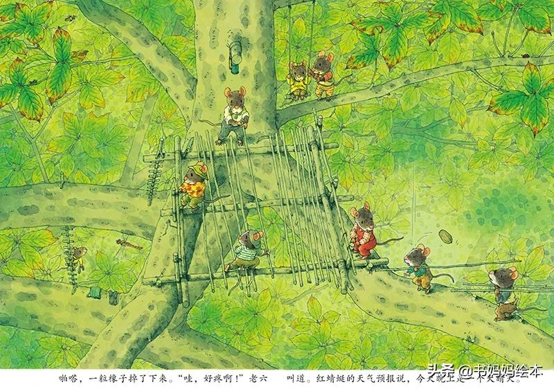 绘本中国传统节日里的故事中秋节,关于中秋节的中国原创绘本