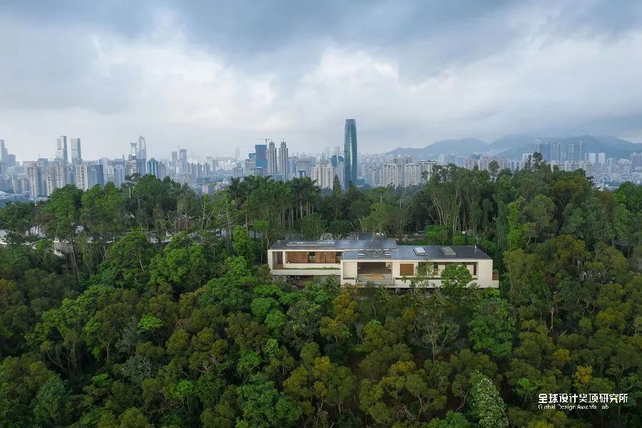 iconic设计大奖 (icon国际设计奖)