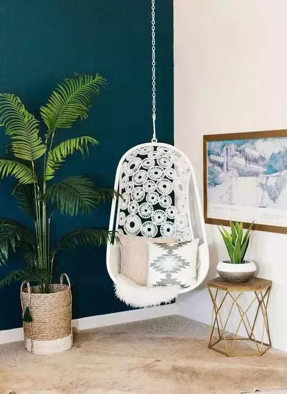 种什么蔬菜可吸甲醛,坪地吸甲醛的植物