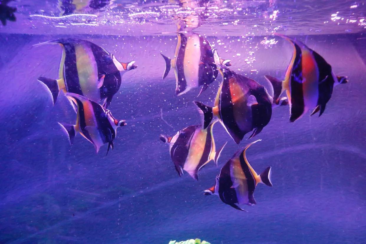 约惠五一特价活动,约惠五一快乐购