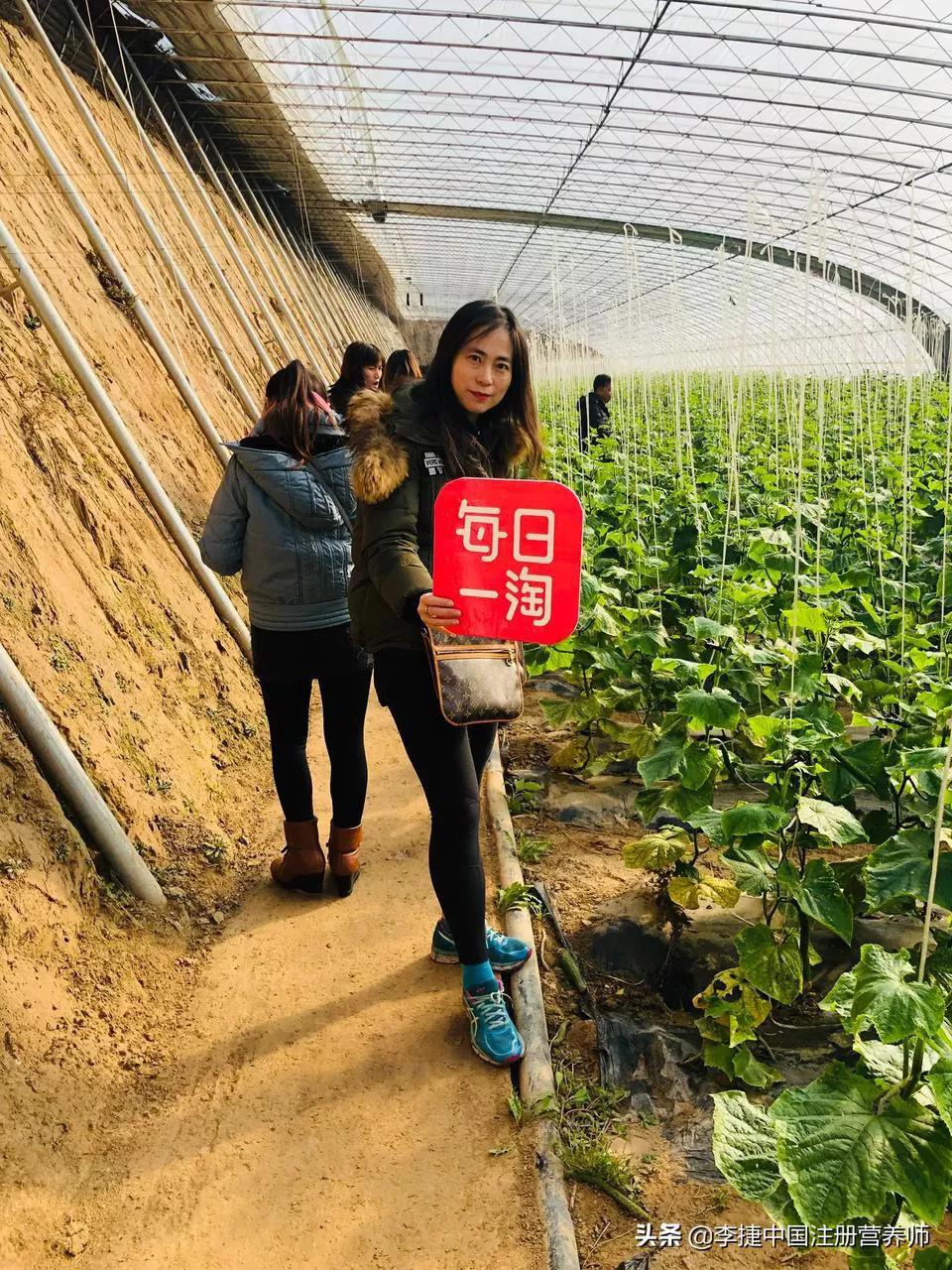 天天蔬果,天天蔬果新消息