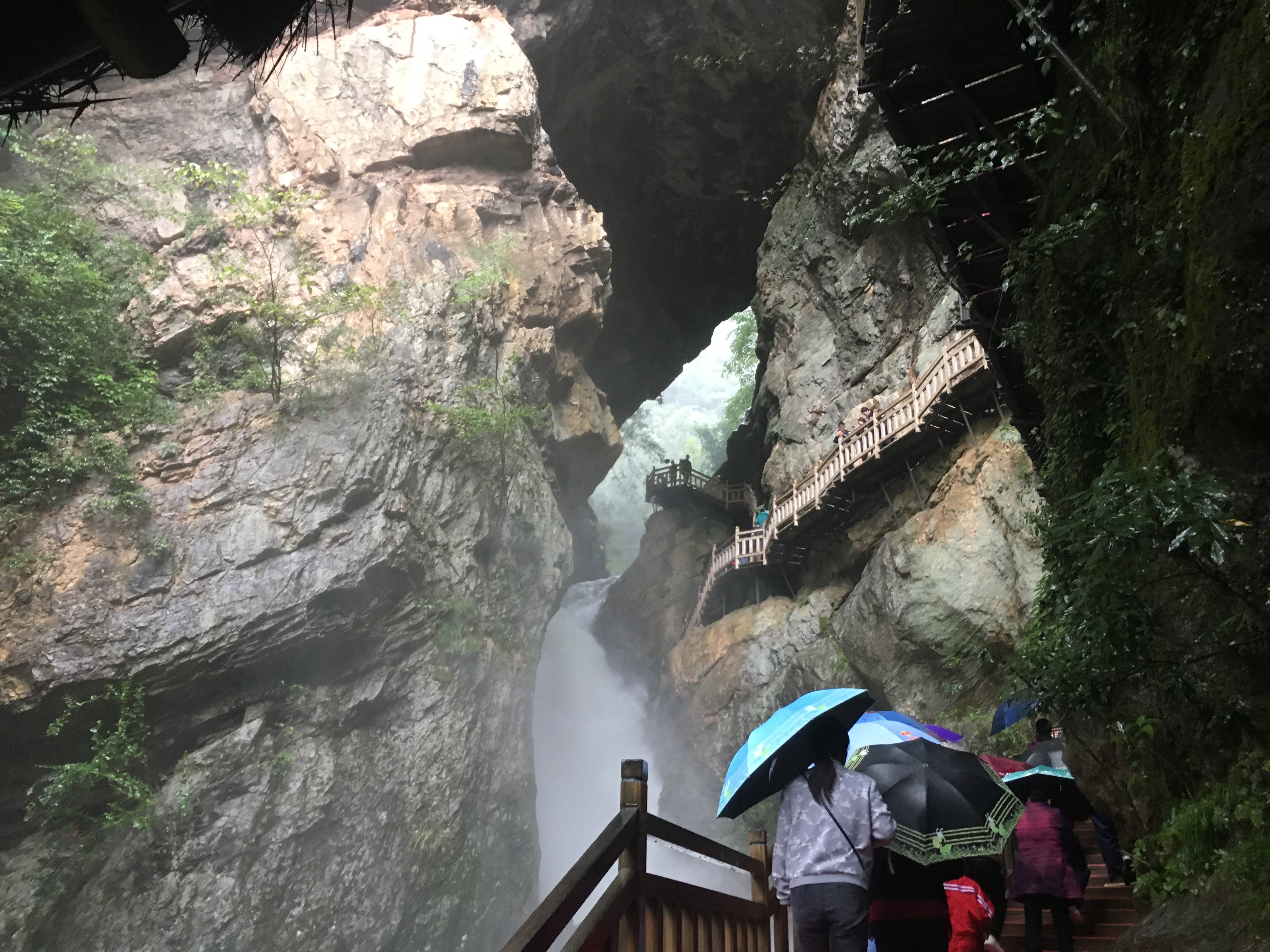 雨中神农架探秘之旅｜国庆节武汉至神农架自驾游攻略分享