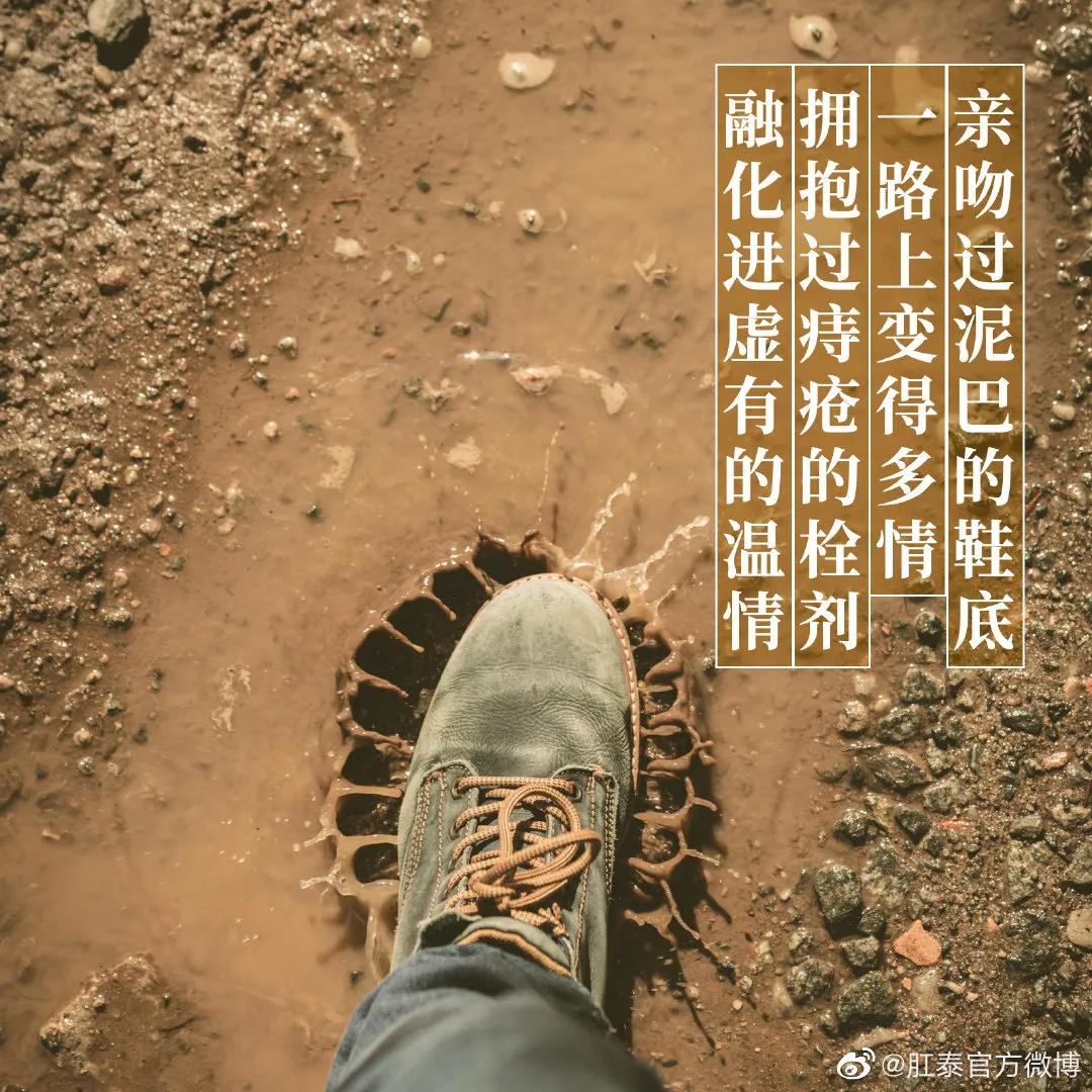 比肩杜蕾斯，肛泰这半年赢麻了