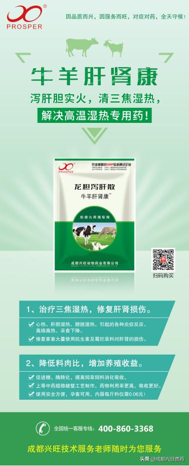 牛羊|光吃不长、夏季流产死胎增加?别怕!牛羊肝肾康来帮你