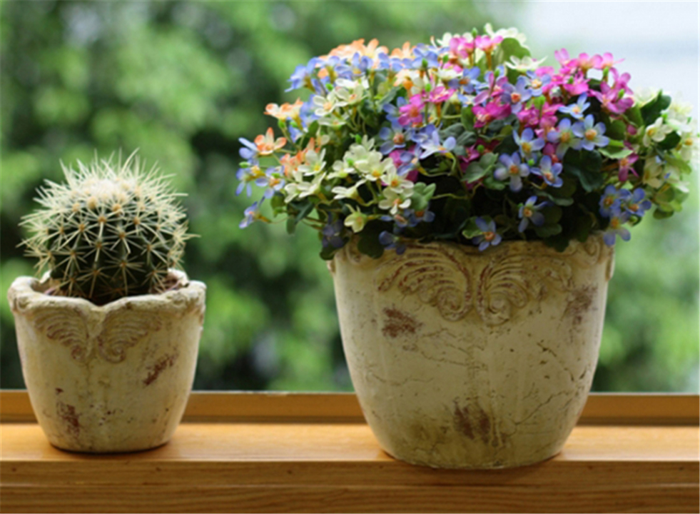 养花对小孩有影响吗,养花与培养孩子