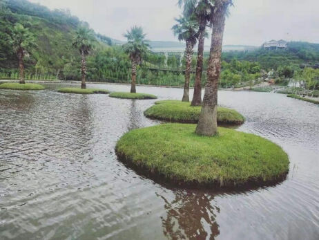 鍏嬩緷榛戠伀鎶婅妭绡濈伀鏅氫細,鍏嬩緷榛戠伀鎶婅妭鐜板満鐩存挱