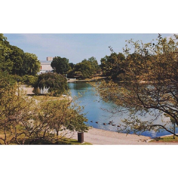 英语句子常用句型,初中英语课堂实用英语口语