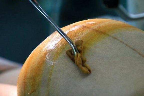 孕妈生活习惯,孕妈习惯影响孩子发育