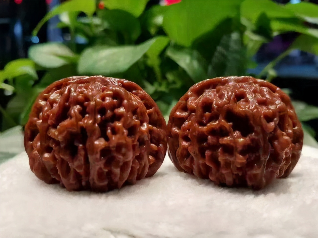 刚买的新文玩核桃要不要上油,文玩核桃盘刷时需要上油吗