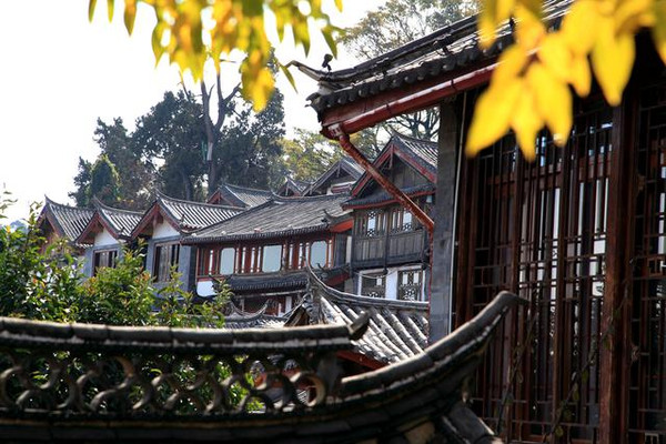 艳遇丽江　多一种爱的可能