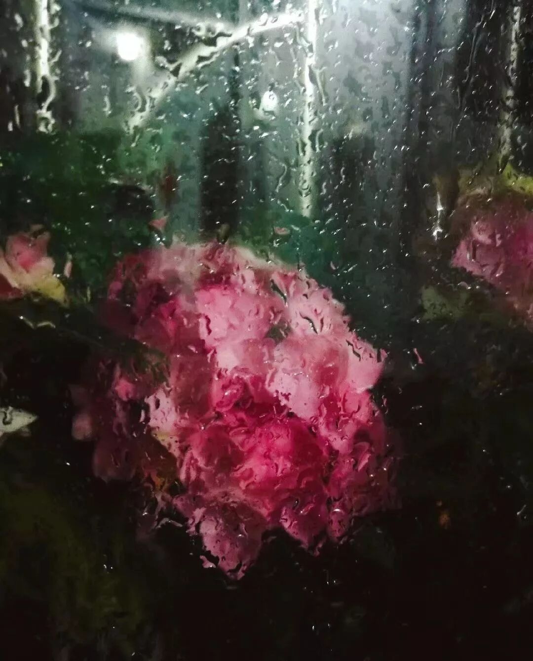 赋词千行,把酒千觥,烟墨流年聊寄仄平中丨薰衣2019诗词集