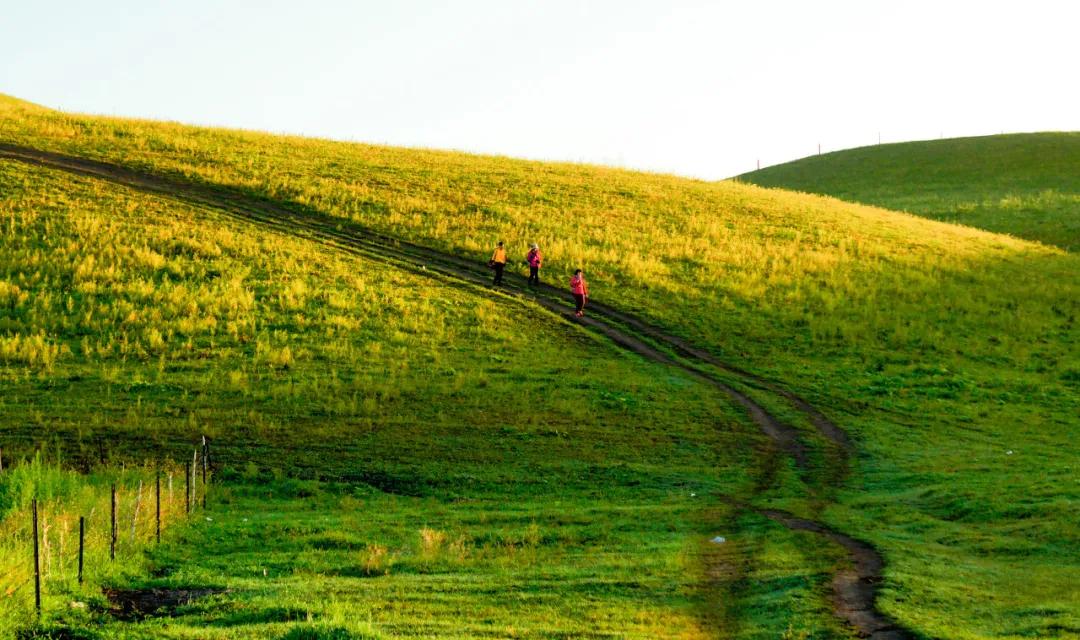 八月的呼伦贝尔大草原,辽阔的呼伦贝尔大草原风景