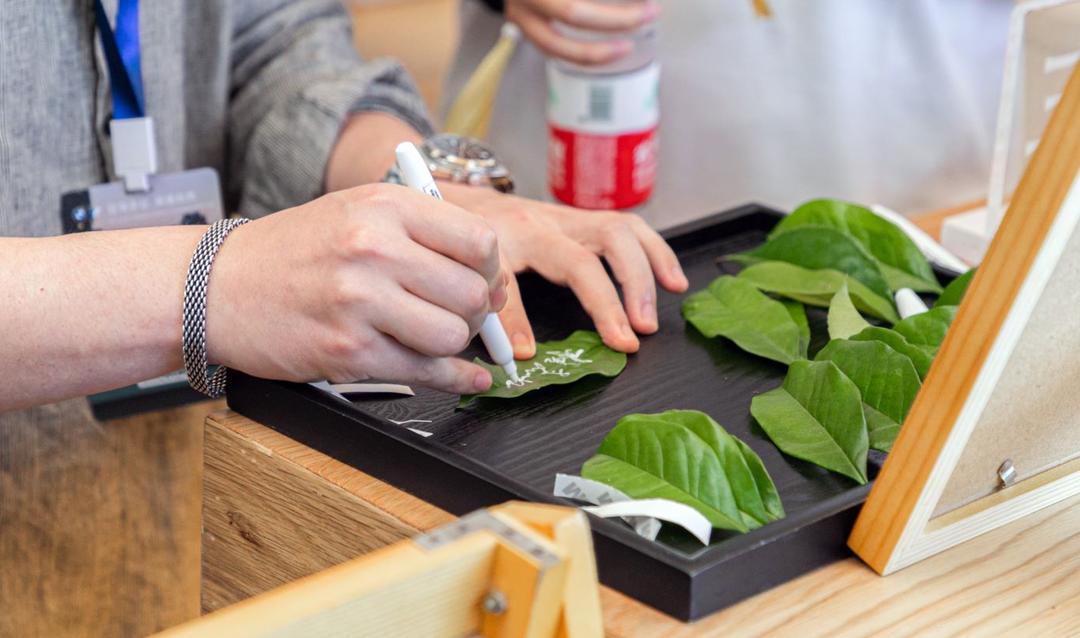 鐢靛姩椹鹃┒涔愯叮,鐢靛姩姹借溅椹鹃┒涔愯叮