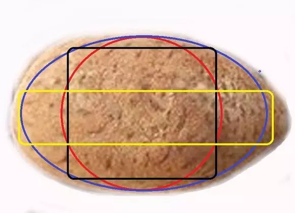 星月菩提的7大基本知识,星月菩提避坑指南