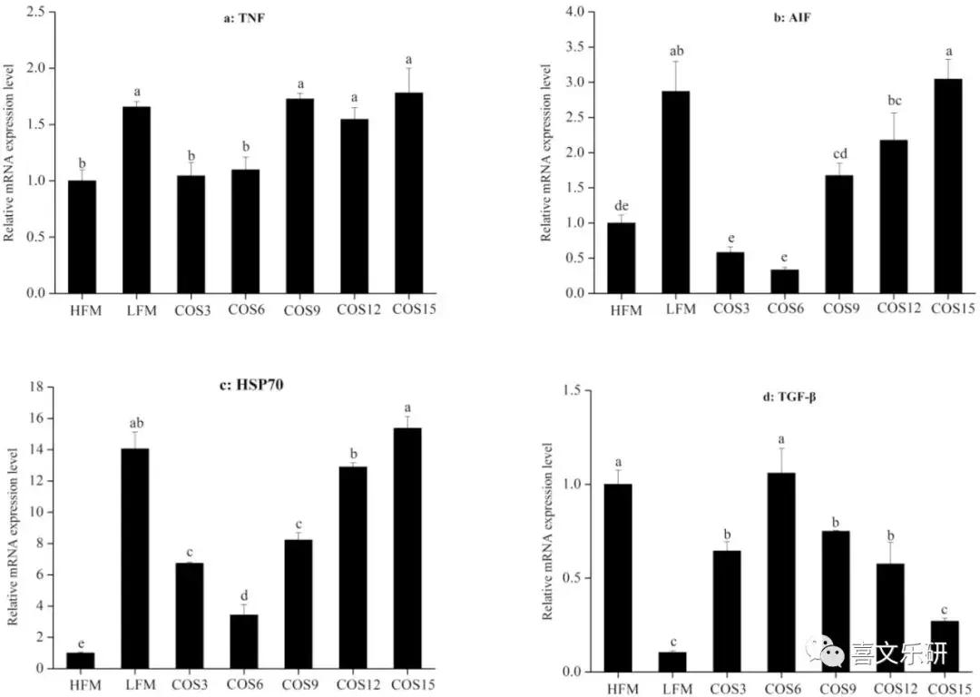 南美白对虾饲料增加,南美白对虾投喂饲料粗蛋白含量