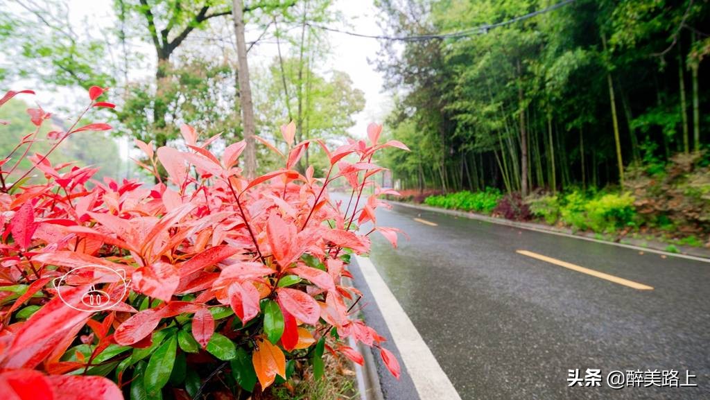 武汉野村谷度假,武汉野村谷风景