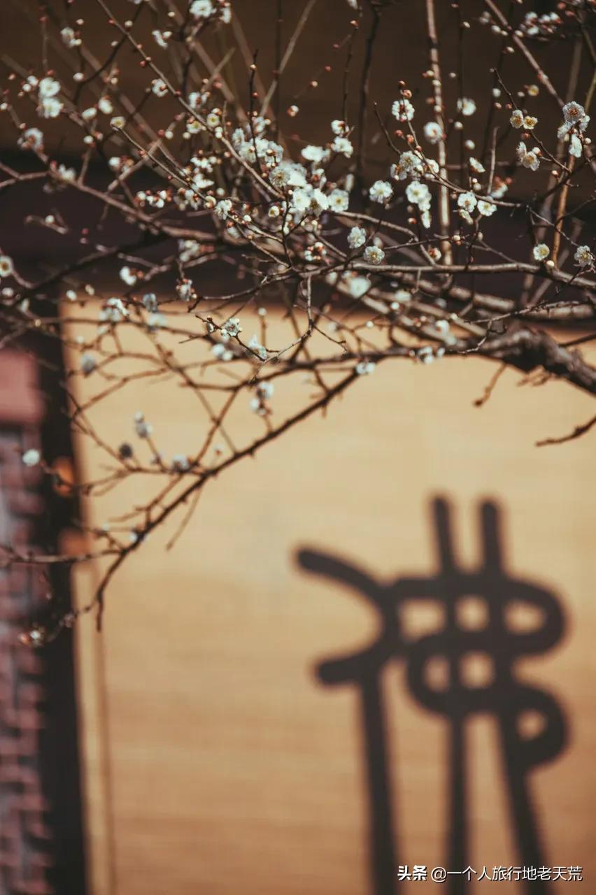 突然很想去看看,突然想去北京看看