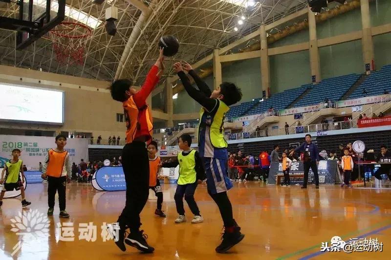 中国篮球名宿走进学校,中国篮球名宿26分