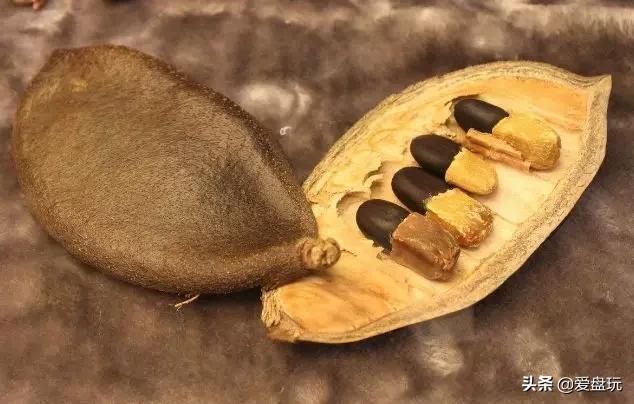 值得盘玩的小众木质手串,小众好看手串有哪些款式