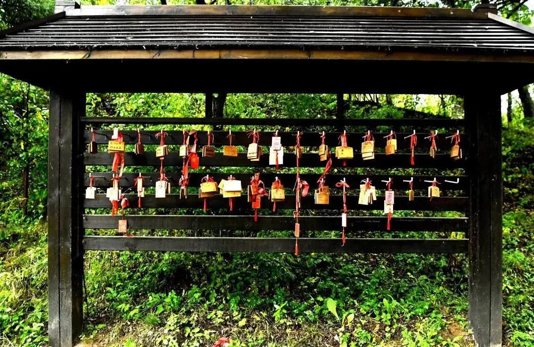 情深缘起重逢,情深缘起下一句