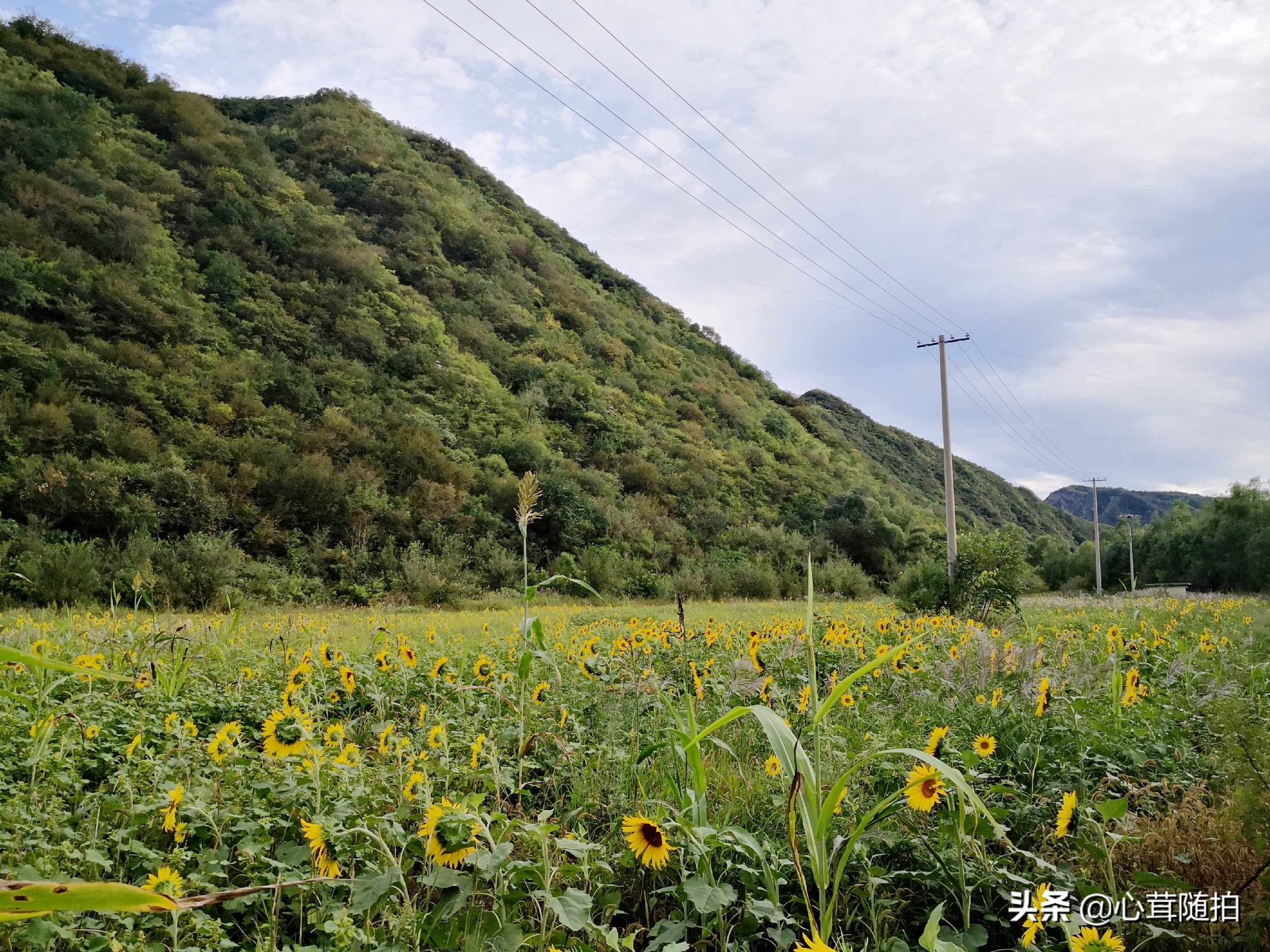 自驾白河湾,白河湾自然风景区自驾