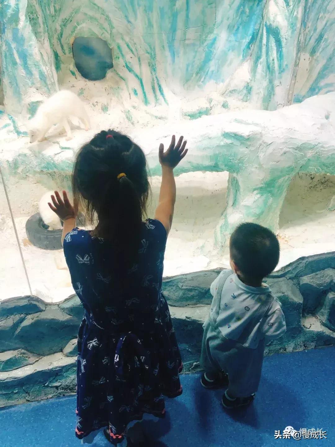 哈尔滨去威海亲子游,哈尔滨旅游攻略亲子游四天三夜