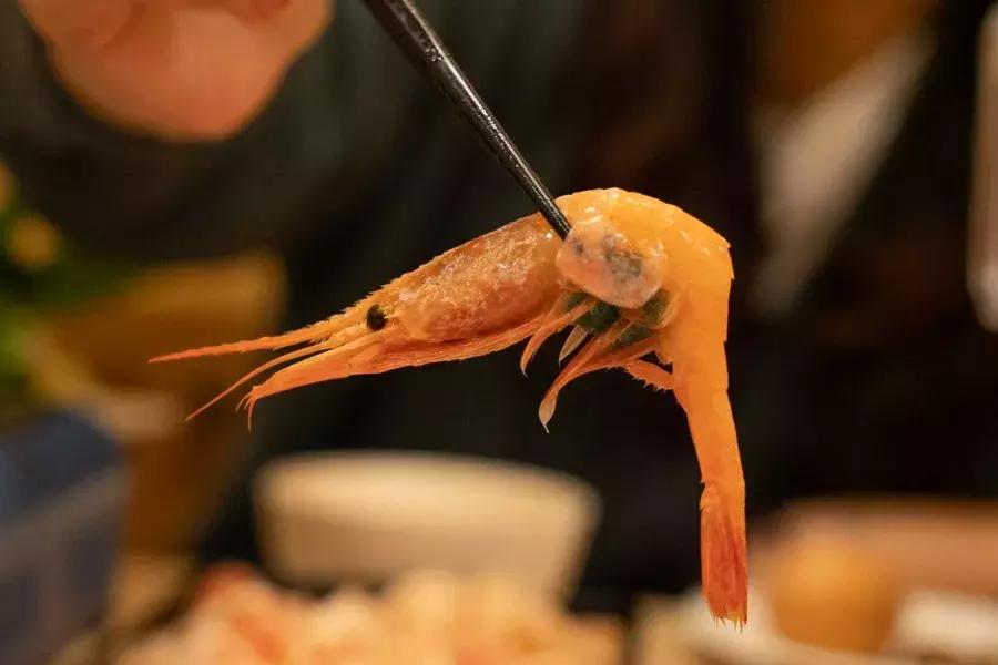 上海寿喜锅自助哪家强？（下）