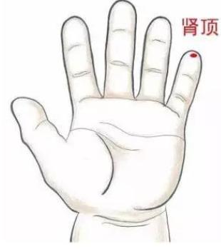 幼儿汗多自汗如何调理,幼儿出虚汗推拿手法