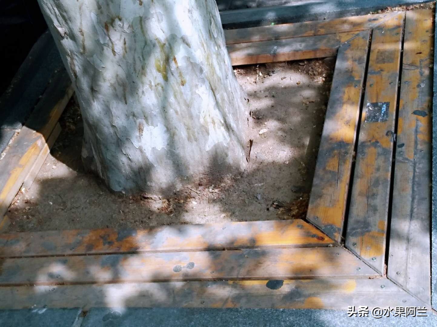 大连旅游团4天三晚,大连4天3晚跟团自由行