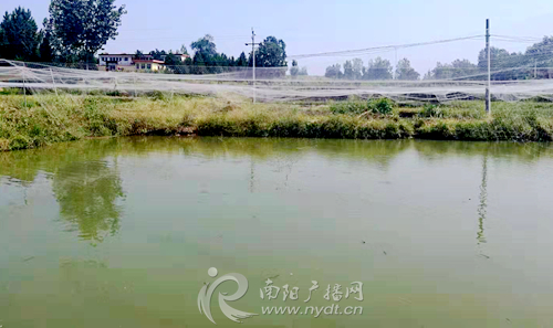 南召县白土岗镇村庄改造,农村坑塘改造成公园