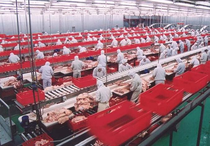 中国对澳加征大麦进口关税,中国要解除对澳大利亚贸易限制吗