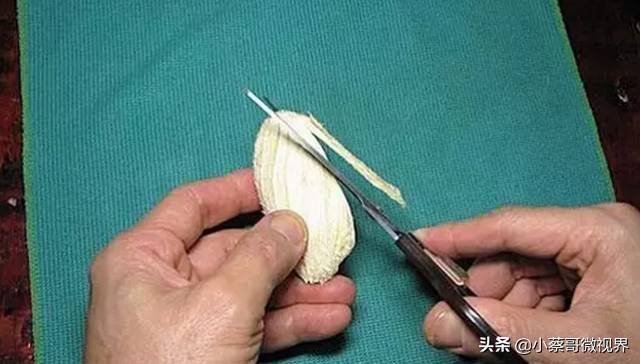 吃完的水果不要扔试试在家就能种,吃完的水果种子