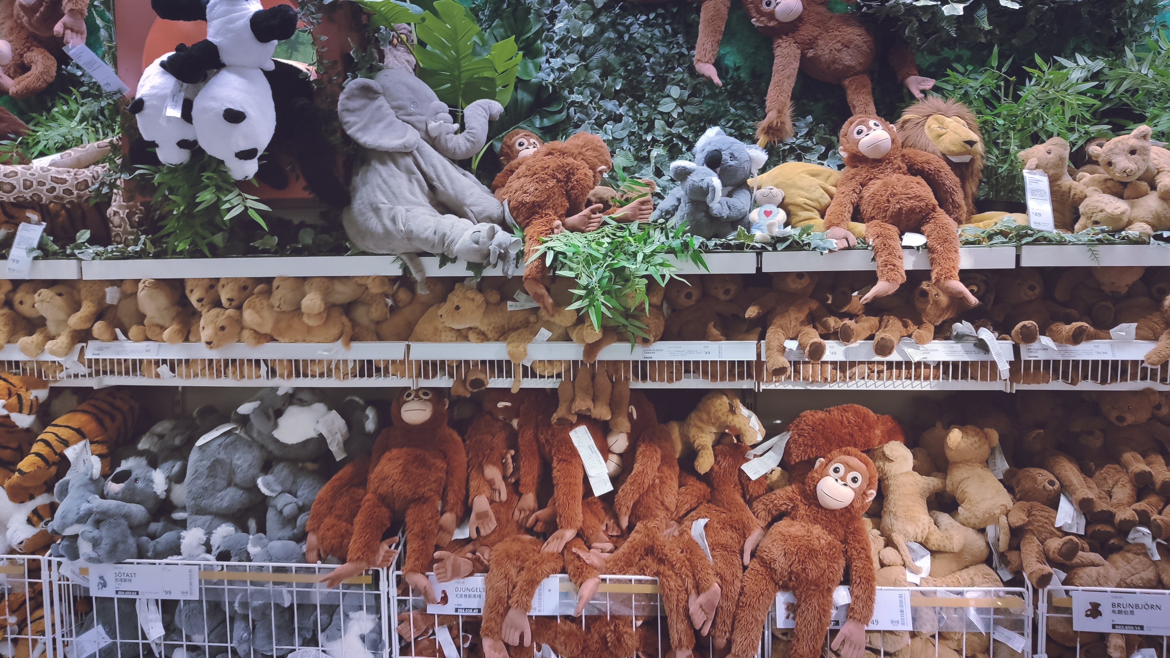 郑州宜家有什么值得购买的东西 (郑州宜家现在值得买吗)