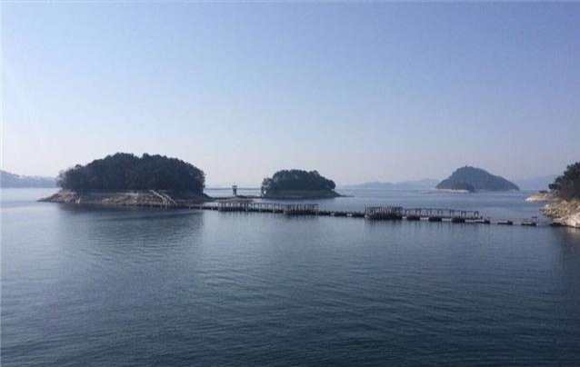 芭提雅大象园和大象村营业时间,泰国芭提雅大象园一日游