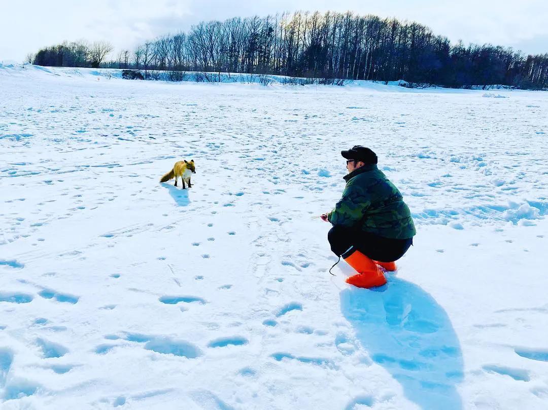 北海道的雪有多美,北海道到底有多吸引人
