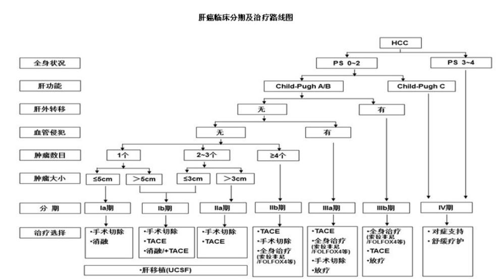 同样是癌症为什么有的人可以治好,同样是肝癌原发和转移哪个严重