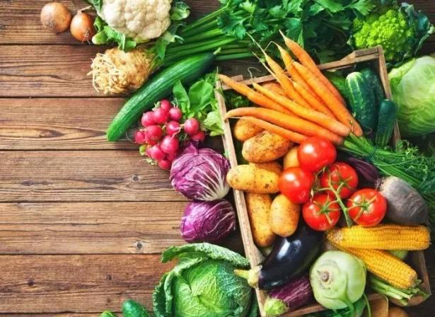 拉布拉多吃不吃生蔬菜,对拉布拉多肠胃好的蔬菜